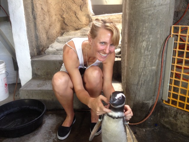 have you hugged a penguin today?