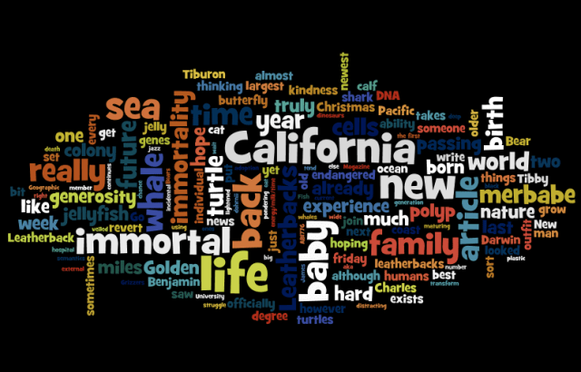 Screen shot 2012-12-31 at 2.58.22 PM