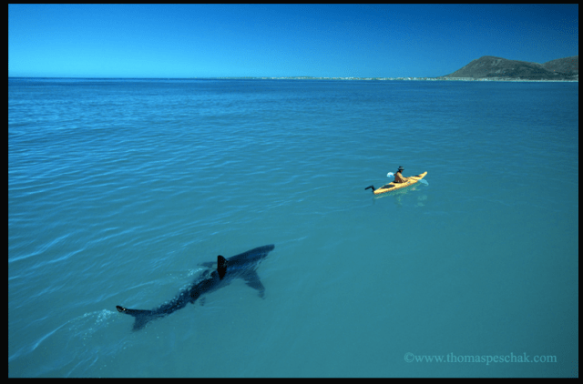 Screen shot 2013-01-15 at 7.17.55 PM