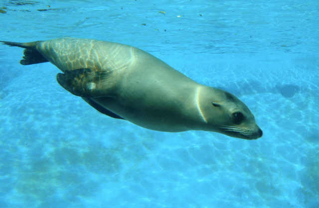 I'd rather see them like this. 