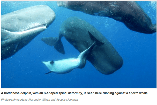 Screen shot 2013-03-27 at 8.24.36 PM