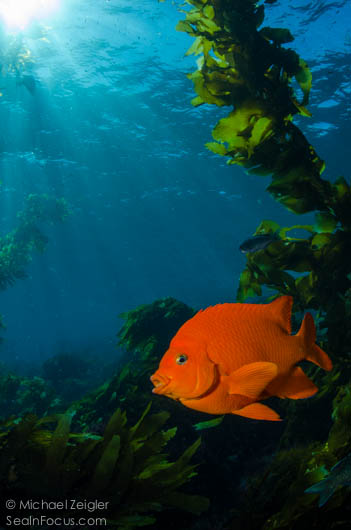 Look at that mean side eye. 