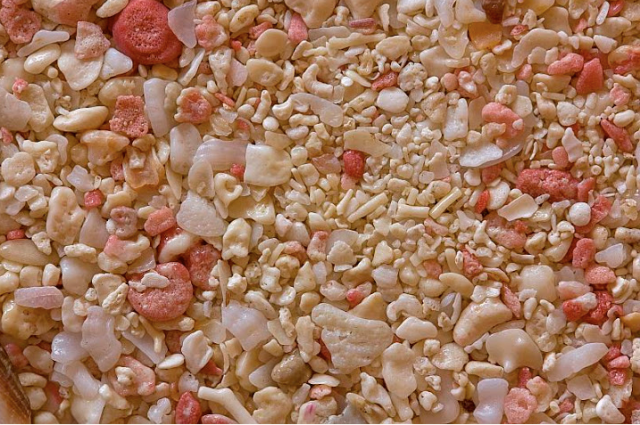 magnified grains of sand, made from coral, in bermuda.  