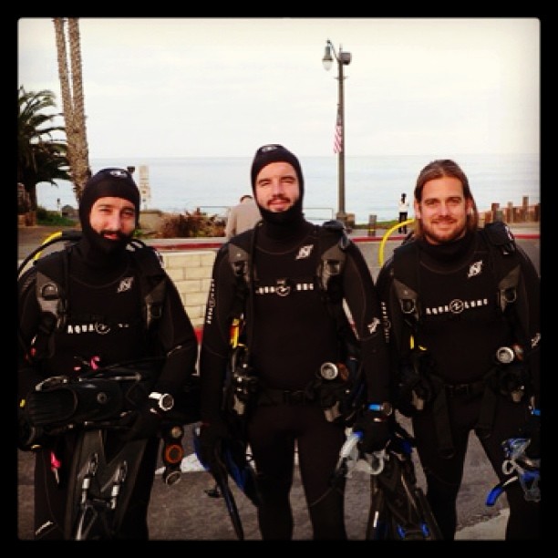 Youngblood Hawke, a very cool band, were my students this past week, and current spokespeople to protect sharks. 