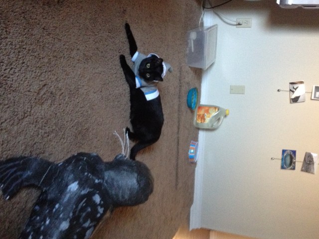 But in a shocking turn of events, the hunter has become the hunted. Defeat. 