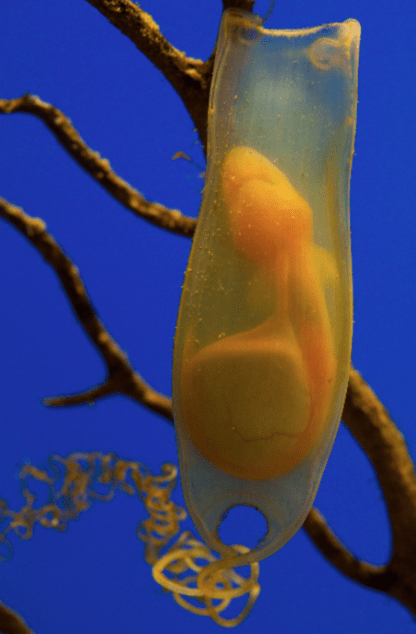 Us vs. them? We don't come from very different places, really. 