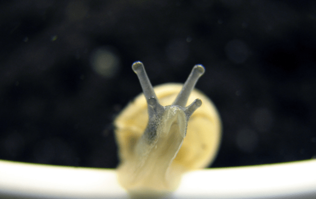 Screen Shot 2014-05-27 at 6.50.19 PM