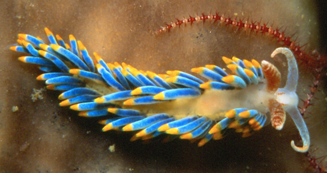 Screen Shot 2014-05-27 at 7.00.06 PM