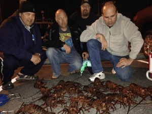 done safely, lobster diving can be rewarding..  