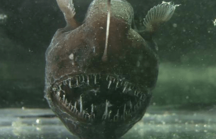 Screen Shot 2014-10-28 at 6.51.08 PM