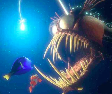 recognize this fish from Finding Nemo?