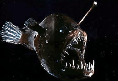 Screen Shot 2014-10-28 at 6.52.53 PM