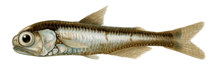 Screen Shot 2014-10-28 at 6.53.19 PM