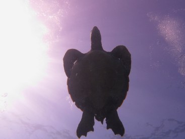 Let the sun shine on you.