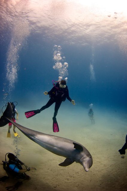 Photo credit to Dudley McLaughlin 