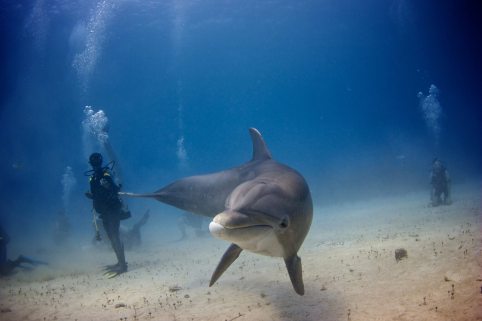 10947716_1776128895946598_1210364770_o