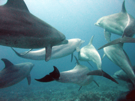 Screen Shot 2015-01-21 at 7.53.00 PM