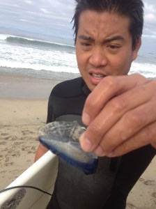 By the wind sailors showed up and had everyone asking, 