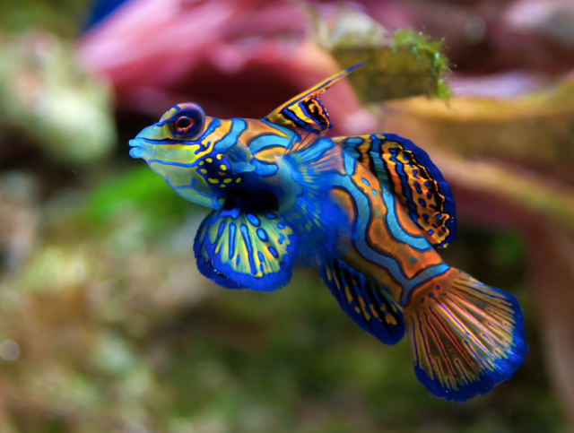 Screen Shot 2015-12-22 at 8.37.35 PM