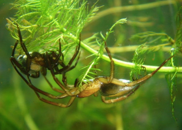 Screen Shot 2016-01-12 at 6.35.13 PM