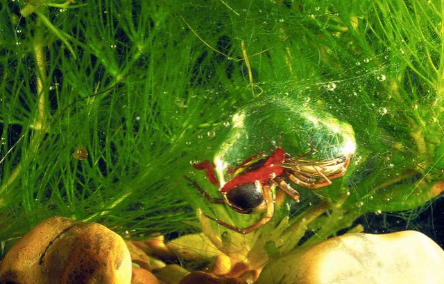 Screen Shot 2016-01-12 at 6.36.57 PM