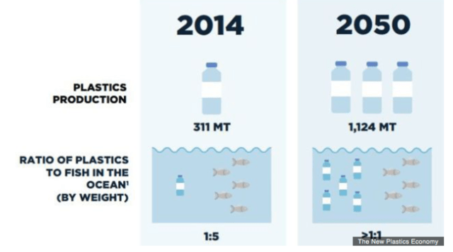 Screen Shot 2016-02-15 at 4.24.09 PM