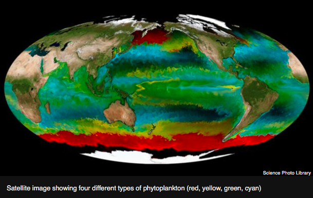 Screen Shot 2016-02-15 at 4.24.23 PM