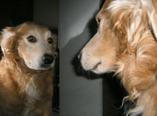 Screen Shot 2016-06-12 at 8.08.52 PM