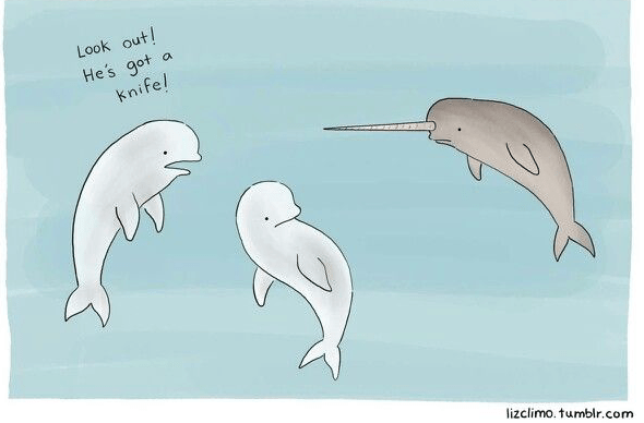 Screen Shot 2017-10-10 at 7.31.32 PM