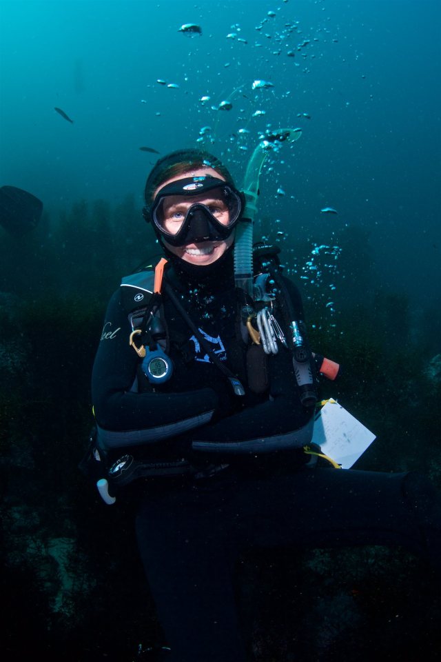 26906615_2503789216513892_505894374_o