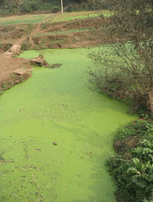 Screen Shot 2018-09-24 at 8.17.38 PM